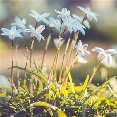 天博官网APP下载截图