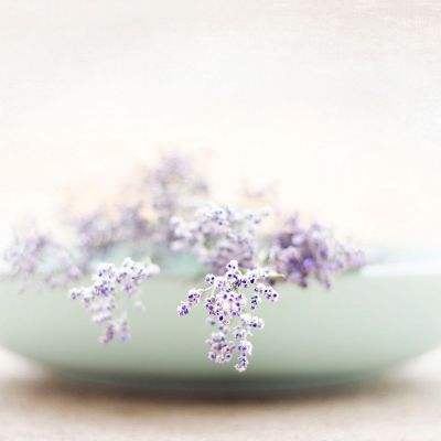 bat365(在线)登录入口