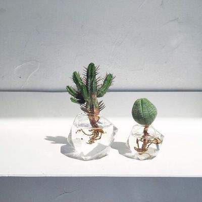 IM电竞平台下载