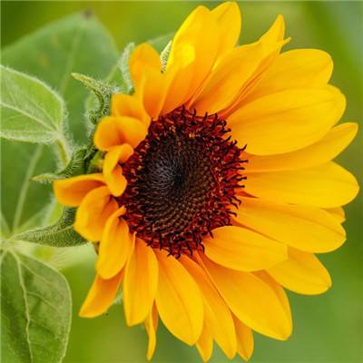 澳州幸运5官方app