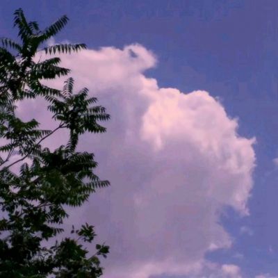 NG体育APP官方下载网址app下载