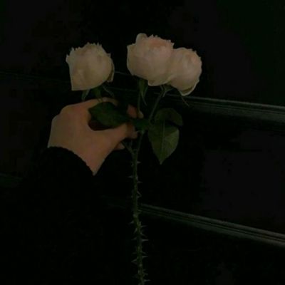 天博官网APP下载